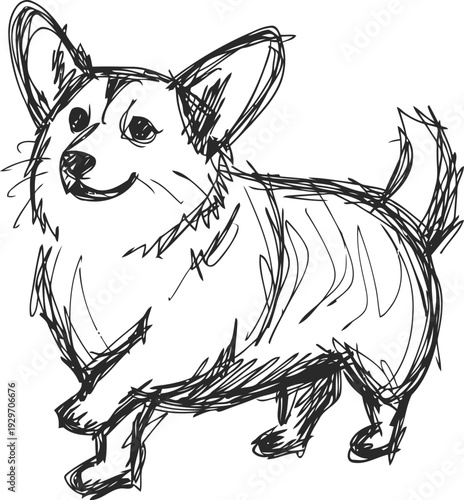 Sketch of a happy corgi dog standing with lifted paw in playful pose