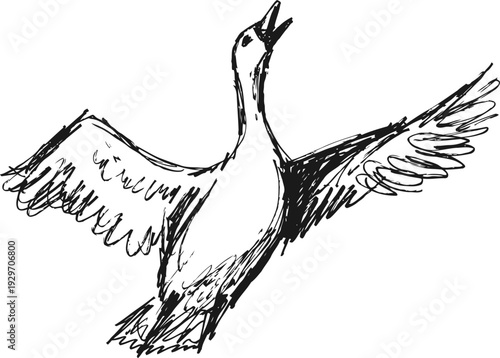 flying bird sketch with spread wings and open beak hand drawn ink illustration of soaring wildlife