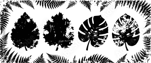 black botanical leaf silhouettes with tropical and fern foliage frame on white background