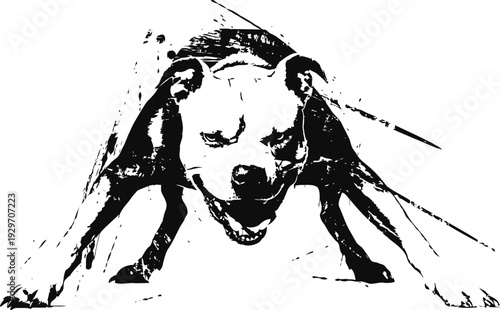 playful dog stretching forward with energetic posture and excited expression