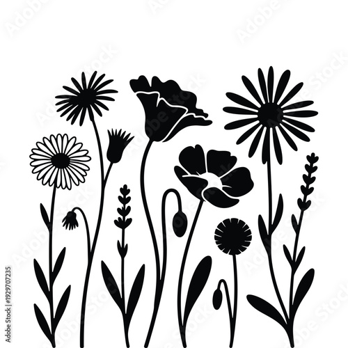 Black Wildflower Silhouette Vector Set – Daisy and Poppy Botanical Clipart Isolated on White