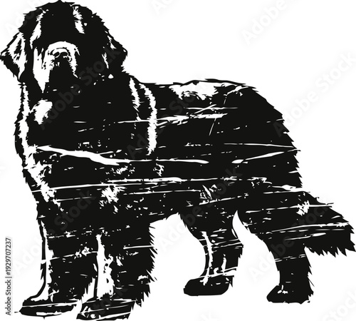 Distressed silhouette of a standing newfoundland dog, vintage grunge textured