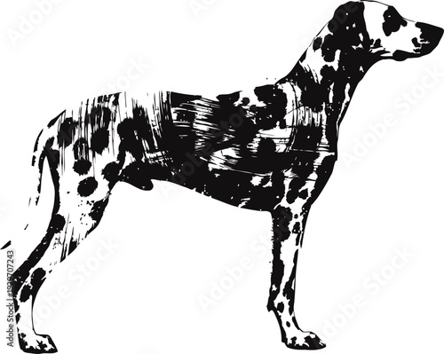 black and white dalmatian dog silhouette standing side view spotted canine breed, domestic animal concept
