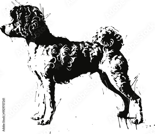 Curly coated dog silhouette standing in profile with detailed fur texture