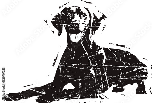 Black dog lying down with tongue out in a vintage distressed