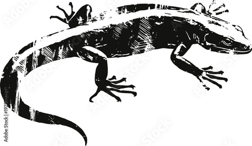 Lizard silhouette illustration in black and white, reptile crawling with detailed texture and long tail