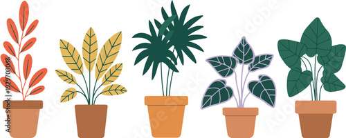 Indoor Houseplant Vector Set Featuring Potted Decorative Plants and Tropical Foliage for Home Interior, Botanical, and Modern Flat Illustration Design Projects