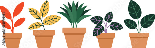 Indoor Houseplant Vector Set Featuring Potted Decorative Plants and Tropical Foliage for Home Interior, Botanical, and Modern Flat Illustration Design Projects
