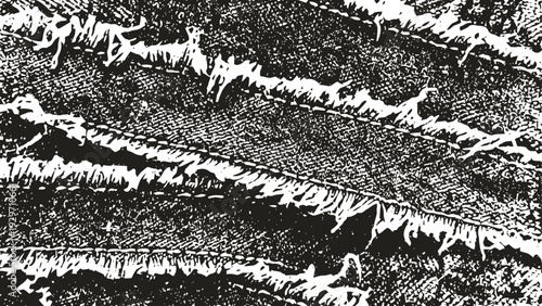 Close up grayscale image of frosted leaves with sharp jagged edges and vein texture