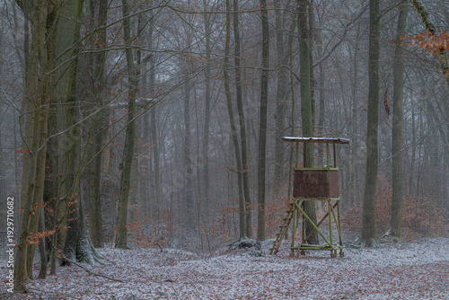 Hochsitz im Winterwald