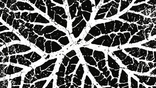 Black and white leaf vein pattern organic abstract texture with intricate network and natural fractal design