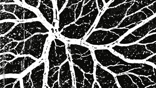 abstract black and white tree branch texture high contrast natural pattern with intricate natural veins and cracks
