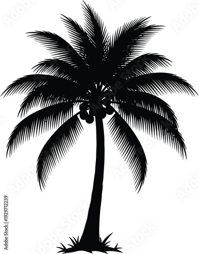 A black silhouette of a palm tree against a white background