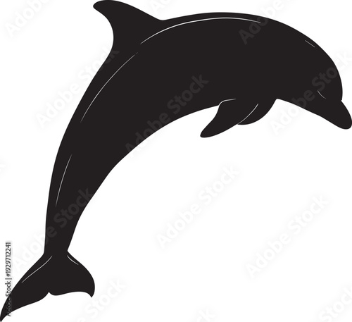 simple dolphin icon illustration vector