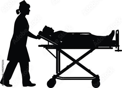 Medical emergency transport with healthcare professional