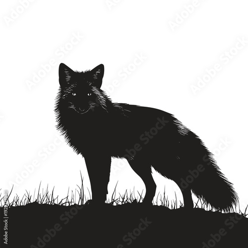 High‑quality wolf silhouette vector set featuring strong wild wolf