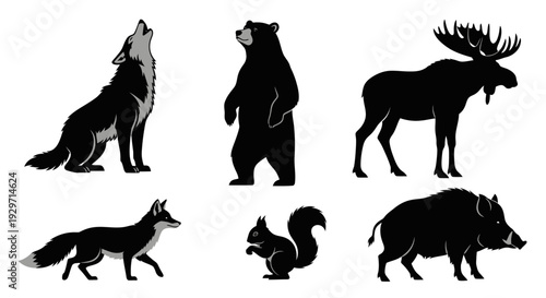 Silhouette Wilderness: A collection of stunning silhouettes of wild creatures in their habitat. A great visual resource for projects.