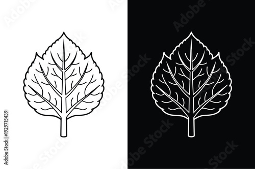 Aspen vector icon graphic isolated sketch illustration on white background.