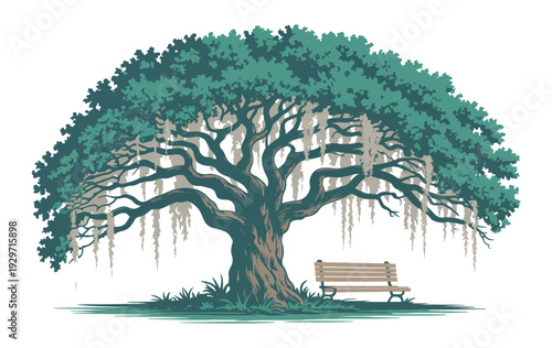 Foto Old Oak Tree Illustration, Majestic Park Oak with Spanish Moss, Bench Scene, Vec