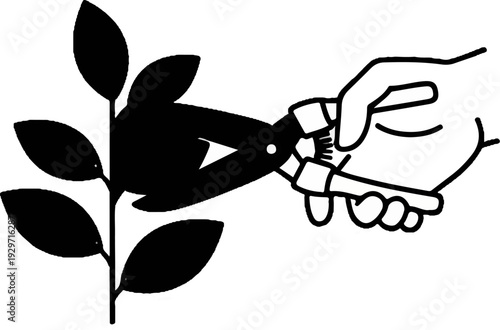 Hand holding shears to prune a leafy branch