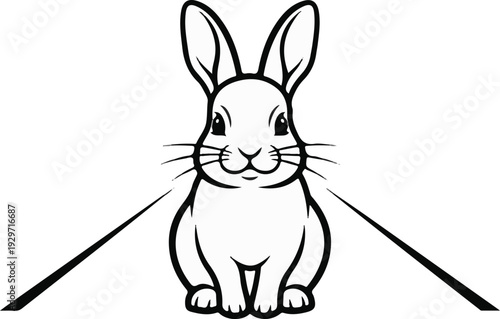 A black and white drawing of a cute rabbit sitting and looking forward