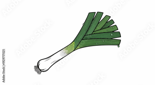 A stylized illustration of a leek with water droplets on its green leaves