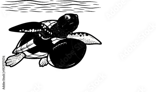 A black and white illustration of a sea turtle swimming underwater with ripples above