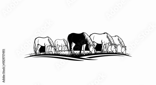 Several horses graze on a grassy knoll, one horse is silhouetted black