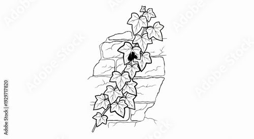 A climbing vine with detailed leaves gracefully entwines a textured stone wall