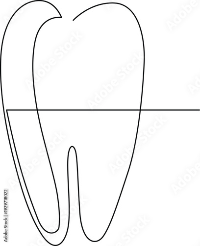 A detailed illustration of a tooth with its roots and crown clearly visible Vector