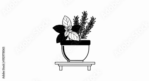 Simple line art shows a potted herb garden with basil and rosemary on a stand