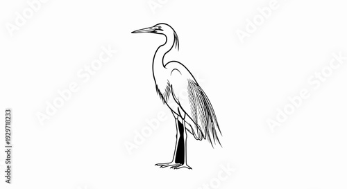 Stylized black and white line drawing of a heron standing alert
