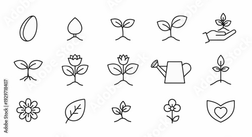 Iconography depicts stages of plant growth and care, from seed to blooming flower