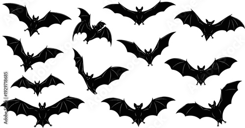 Collection of black silhouette bats with outstretched wings on white background