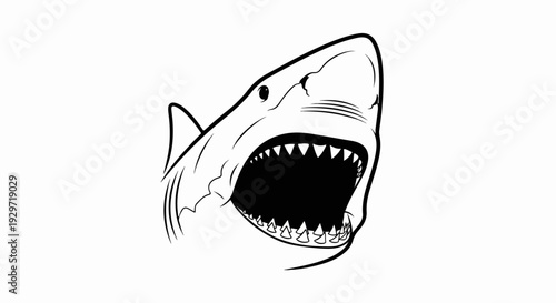 A bold black outline depicts a shark's menacing open mouth and sharp teeth