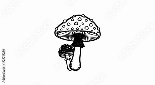 Black and white sketch of two toadstools, one large and one small, with spots