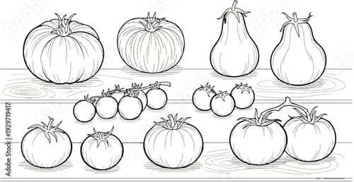 Variety of vegetables and fruits sketched on wooden planks