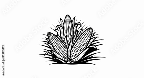 Three stylized ears of corn are depicted with detailed kernels and leafy husks