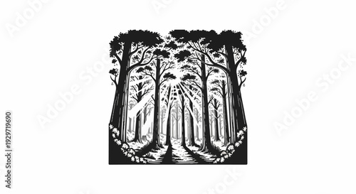 Sunbeams filter through a dense forest, illuminating a winding path