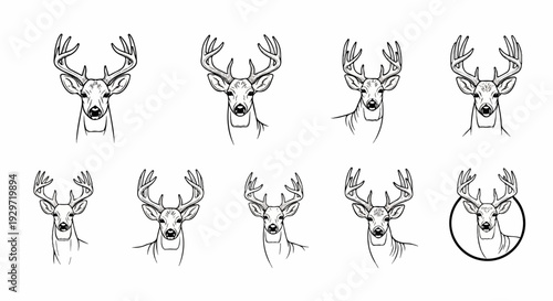Ten stylized line drawings of deer heads with antlers, some with subtle shading