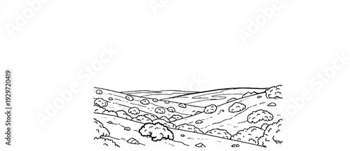 A black and white sketch depicts a rolling landscape with sparse vegetation