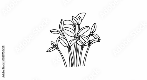 A minimalist black-and-white line drawing of a cluster of young plant sprouts