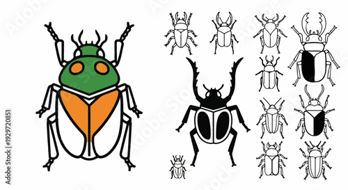 Various beetles drawn with simple lines and bold colors, black outlines