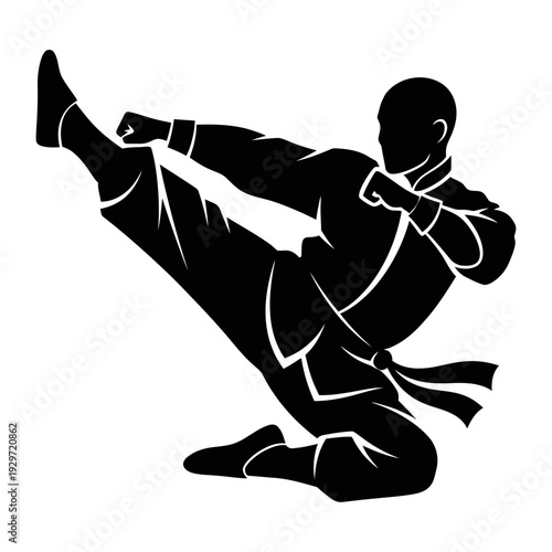 Martial arts fighter performing high kick, karate or taekwondo action silhouette isolated, graphic & motivation