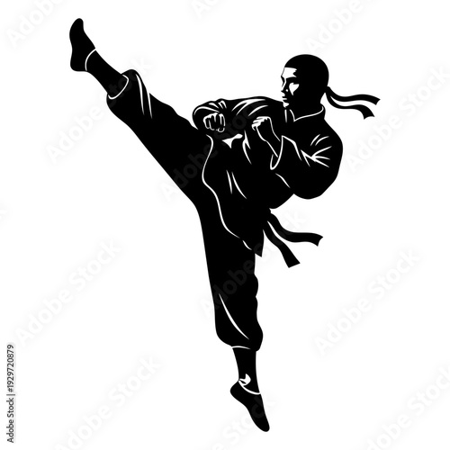 Martial arts fighter performing high kick in traditional karate uniform and black belt isolated, graphic & motivation