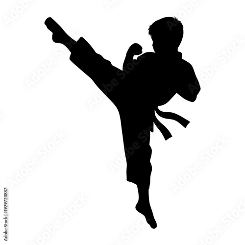 Martial arts student silhouette performing high side kick in karate uniform with black belt isolated, graphic & motivation