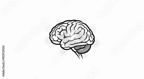 Outline of a human brain and cerebellum on a white background with subtle circles