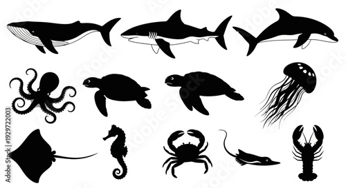 Sea Creatures Silhouettes: A collection of various marine creatures in silhouette, rendered in bold black against a clean backdrop, capturing the essence of underwater life.