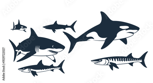 Oceanic Predators: A striking illustration showcases the majesty and dominance of oceanic predators, highlighting their diverse forms and power.