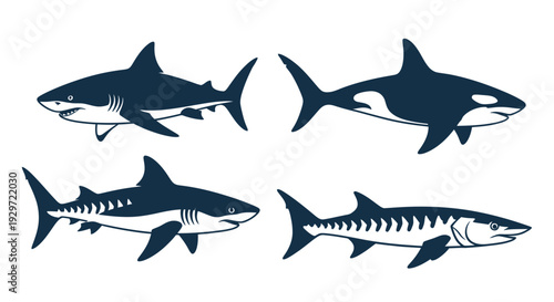 Sea Predators: A set of stylized illustrations showcasing diverse and fearsome sharks, each exuding power and marine dominance.
